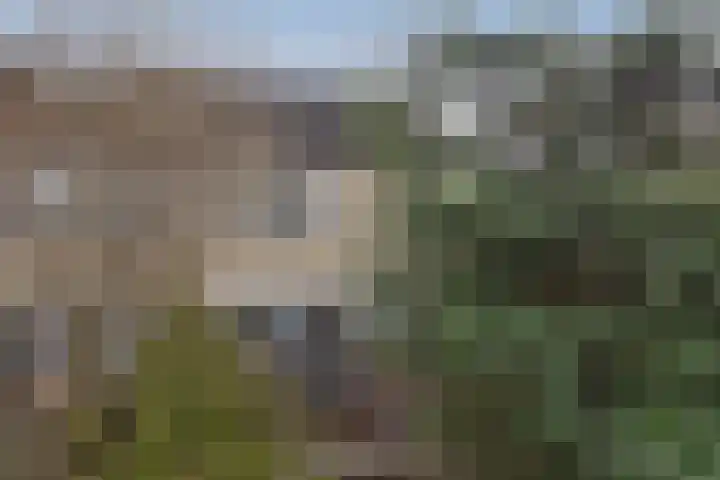 Sanderij 15 Delden thumbnail 32