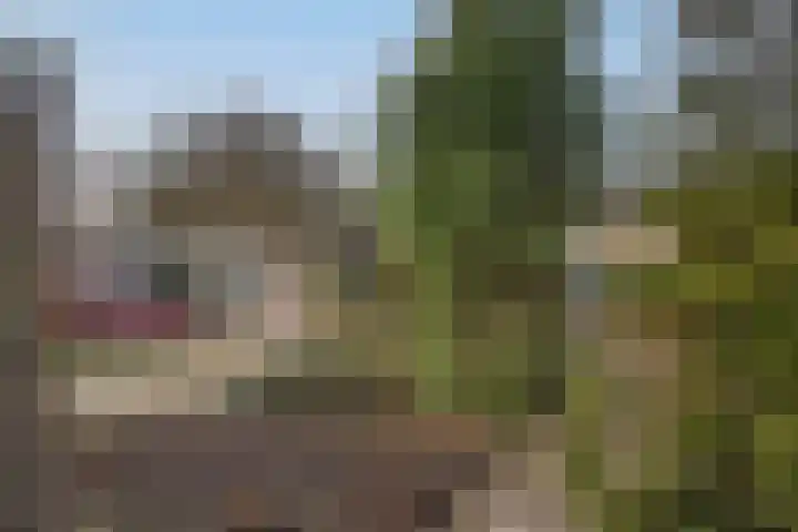 Sanderij 15 Delden thumbnail 33