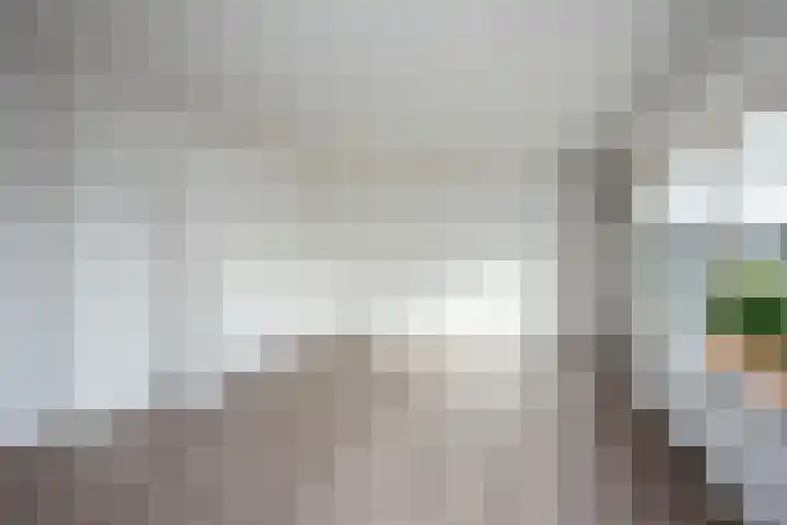 Sanderij 15 Delden thumbnail 6