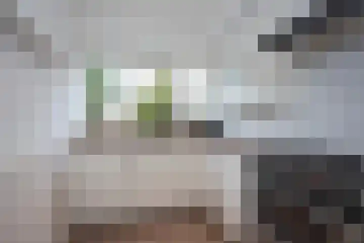 Sanderij 15 Delden thumbnail 8