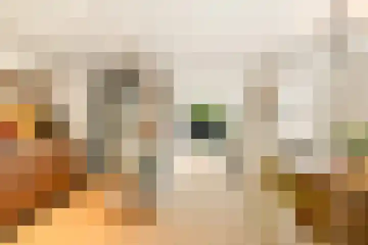 Sanderijnstraat 28 1 Amsterdam thumbnail 8