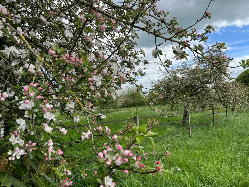 Bürofoto von SANDRA makelaardij