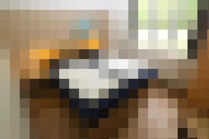 Sandurdreef 5 218 Emmen thumbnail 12