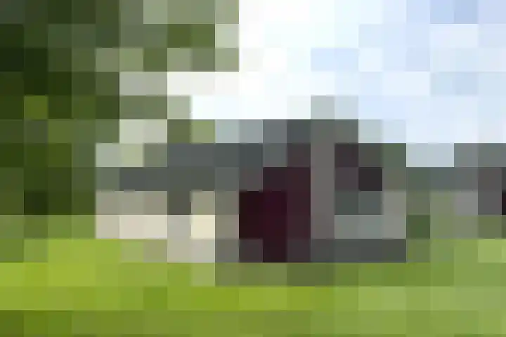 Sandurdreef 5 218 Emmen thumbnail 4