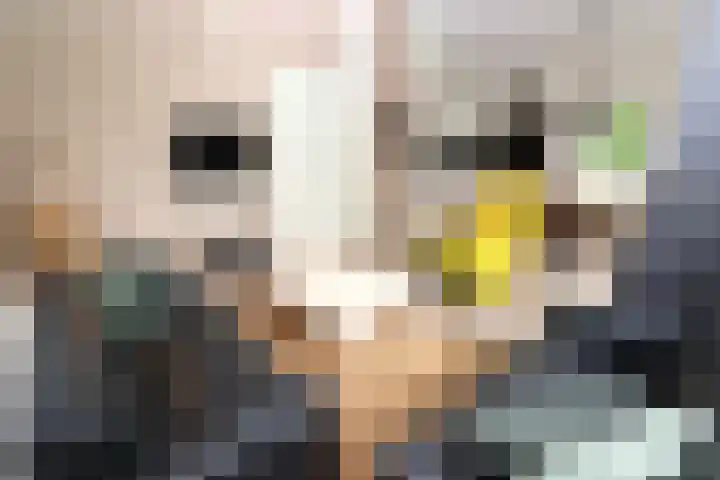 Sandurdreef 5 218 Emmen thumbnail 5