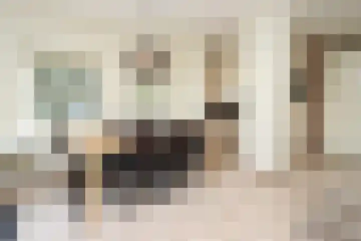 Sandurdreef 5 231 Emmen thumbnail 10