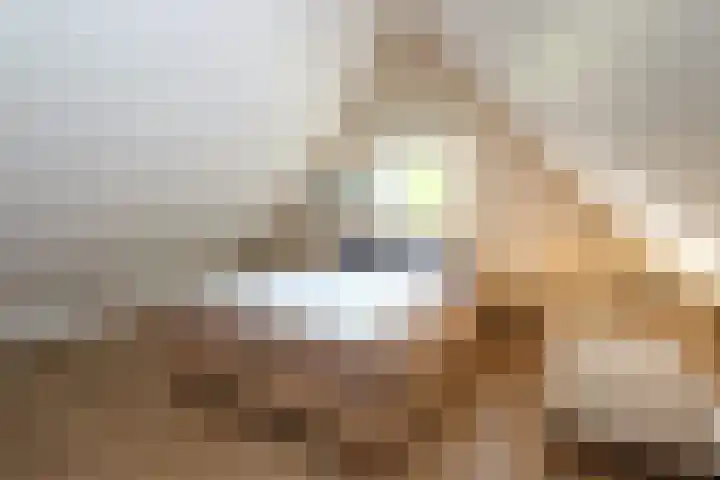 Sandurdreef 5 231 Emmen thumbnail 17