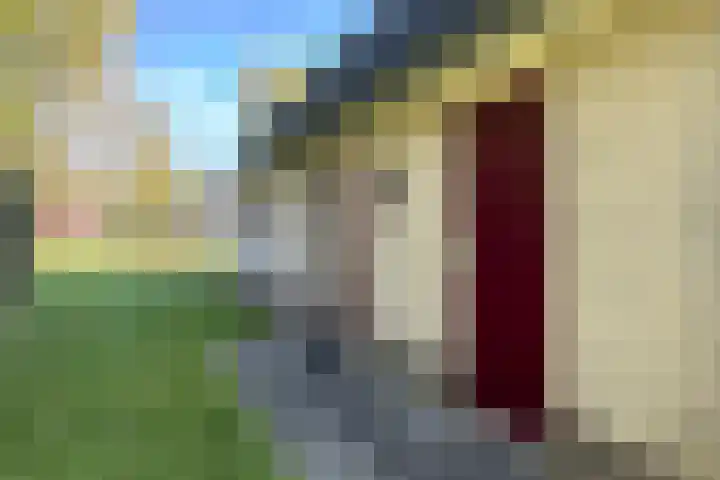 Sandurdreef 5 231 Emmen thumbnail 5
