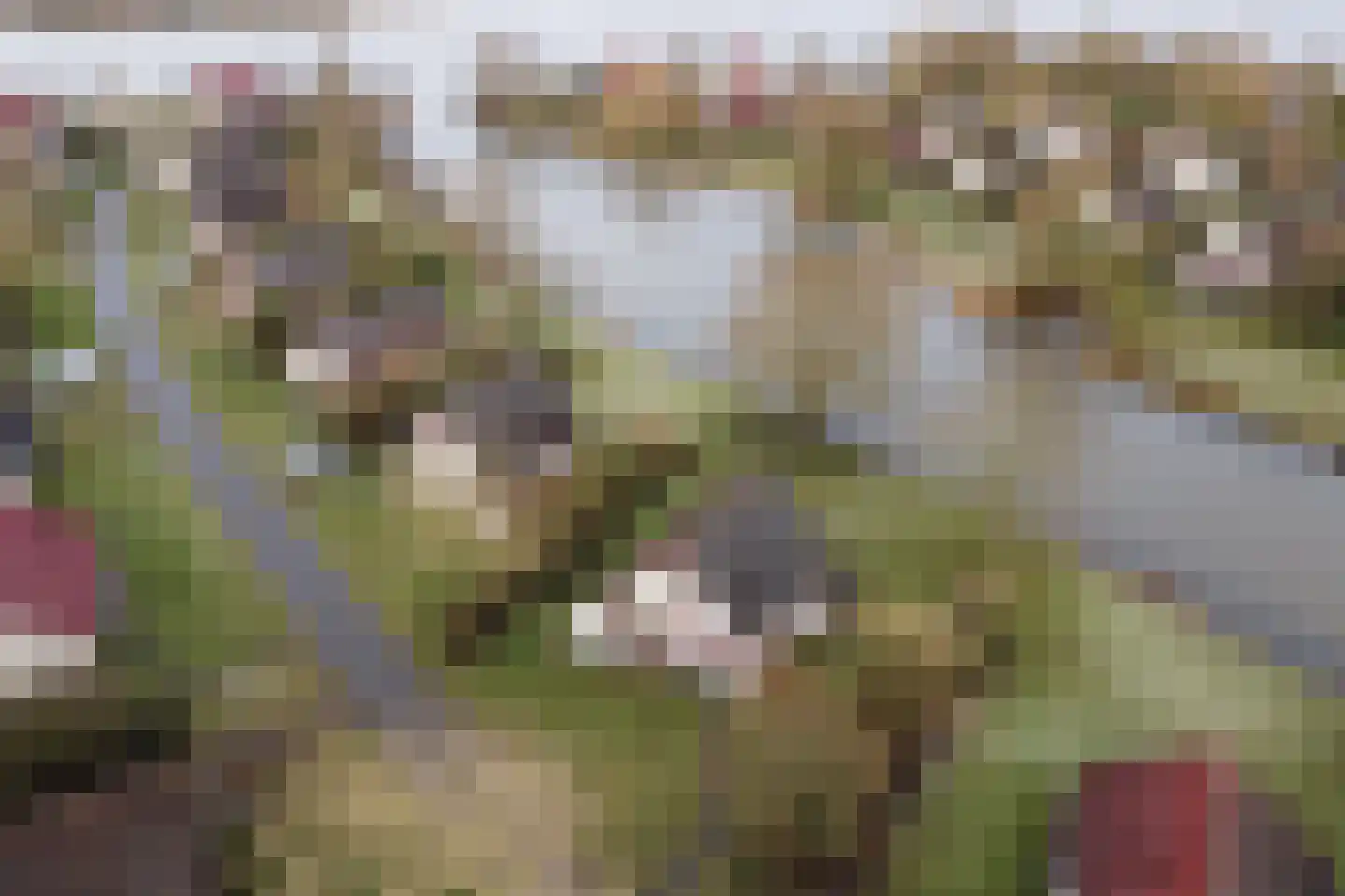 Sandurdreef 5 266 Emmen thumbnail 19