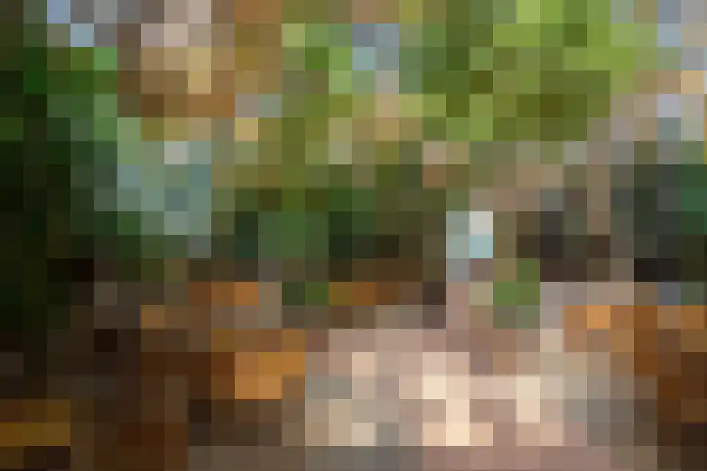 Sandurdreef 5 266 Emmen thumbnail 27