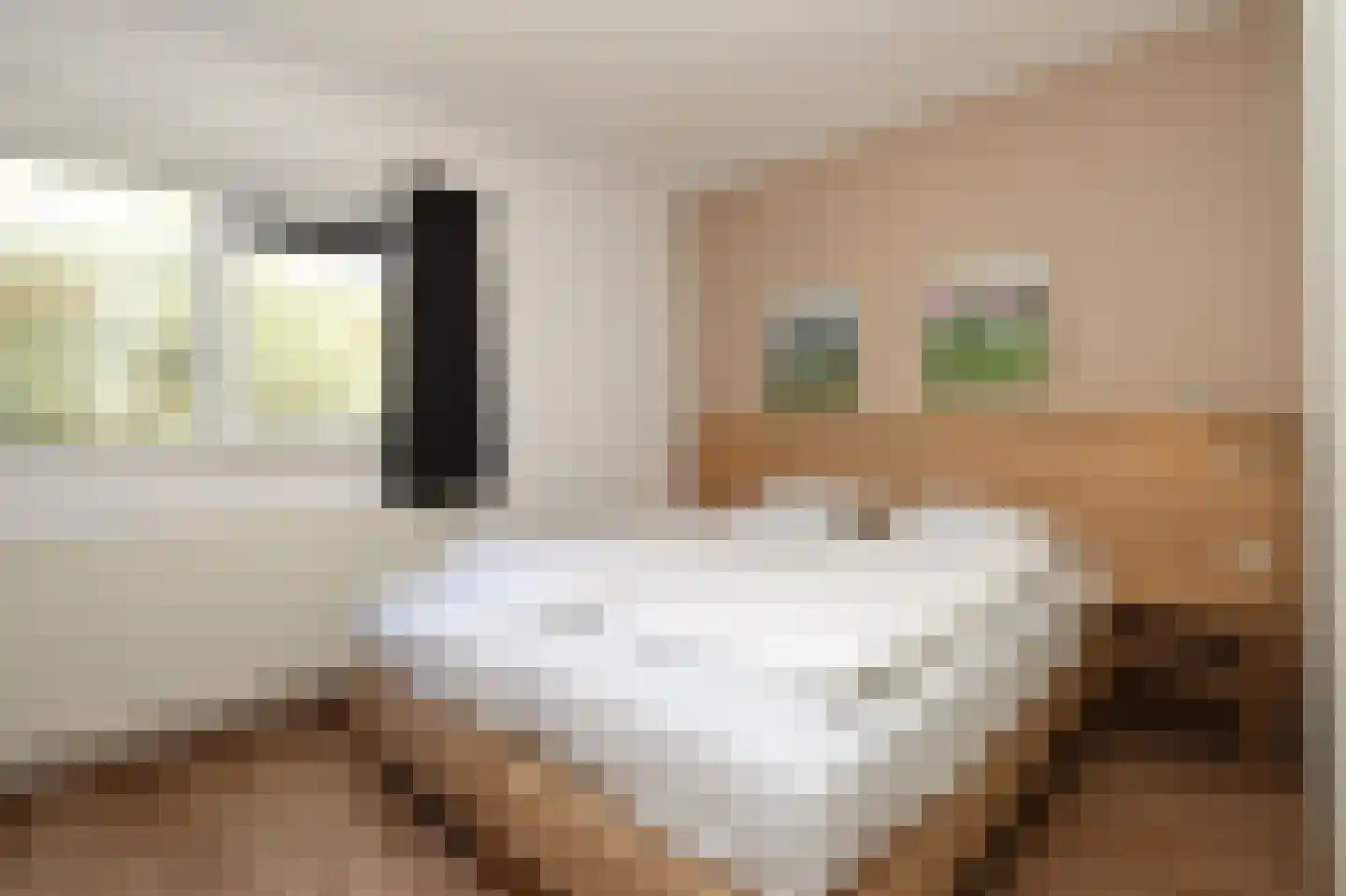 Sandurdreef 5 273 Emmen thumbnail 9