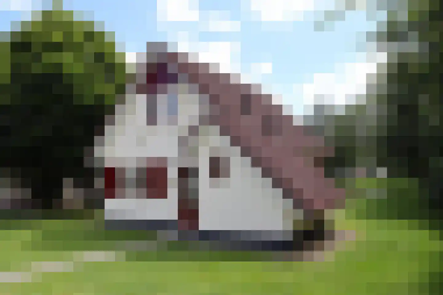 Sandurdreef 5 290 Emmen thumbnail 4