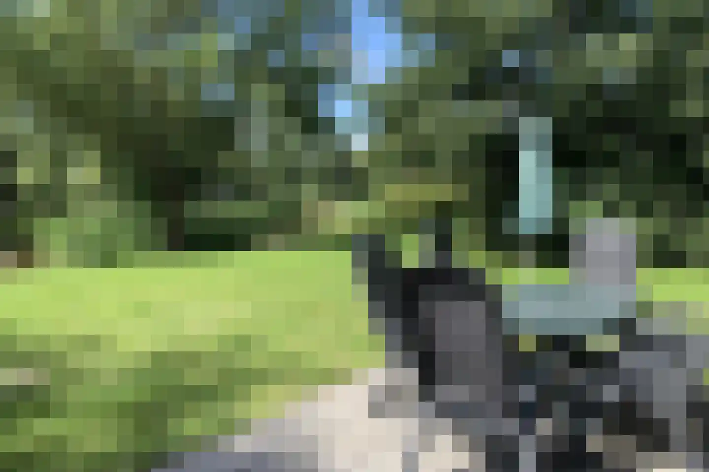Sandurdreef 5 290 Emmen thumbnail 5