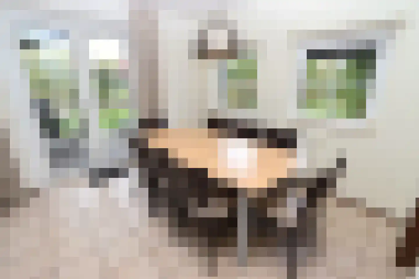 Sandurdreef 5 324 Emmen thumbnail 9