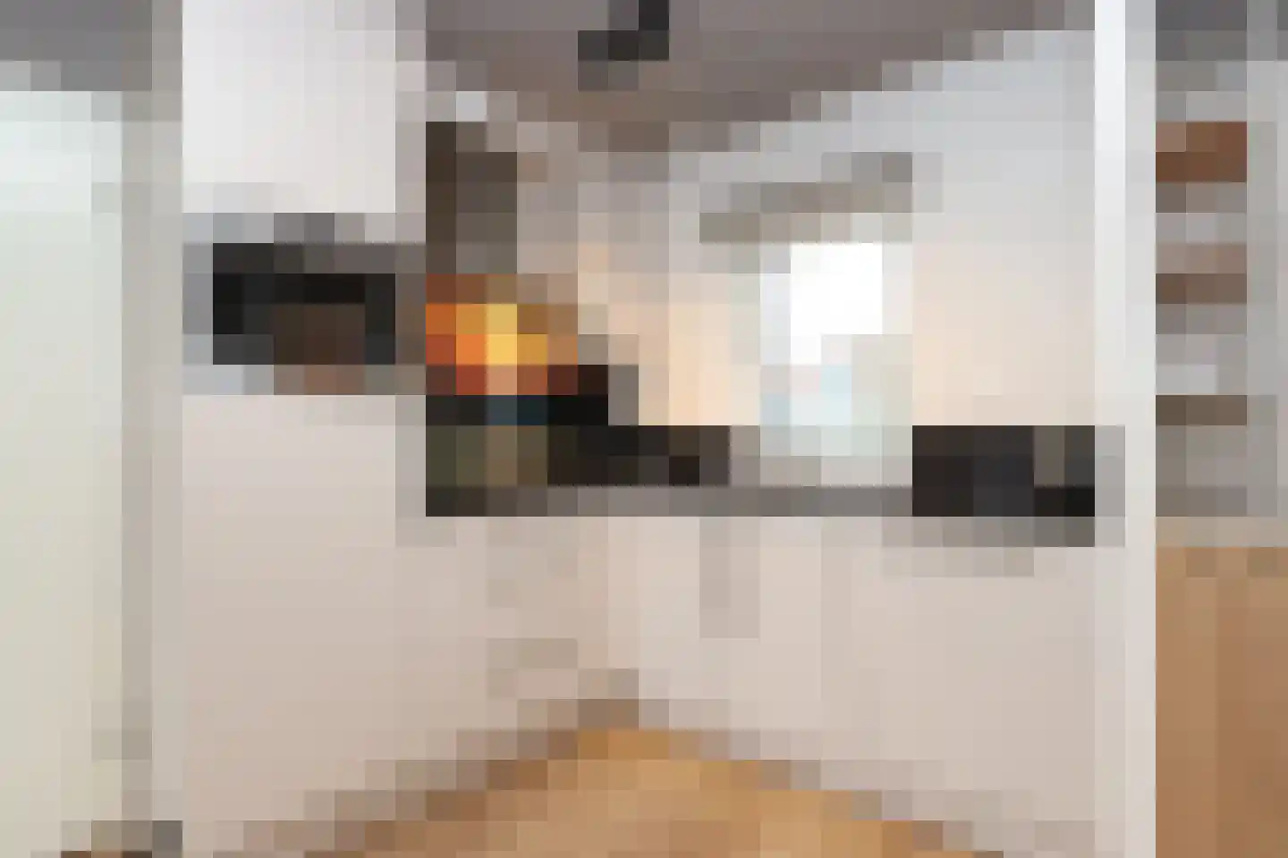 Sandurdreef 5 355 Emmen thumbnail 10