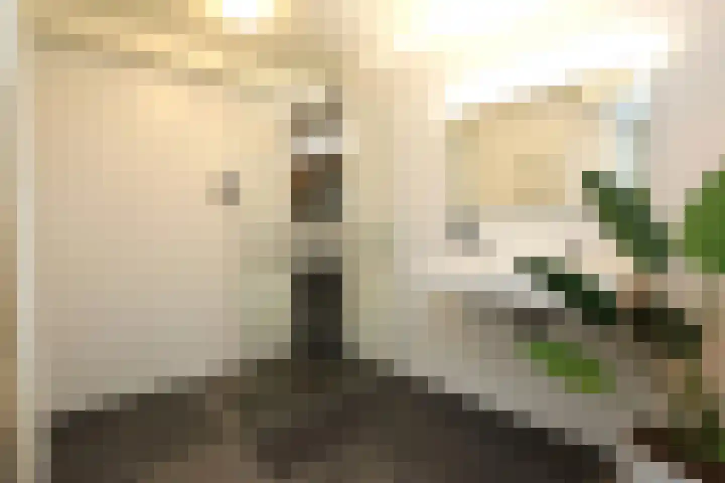 Sandurdreef 5 355 Emmen thumbnail 12