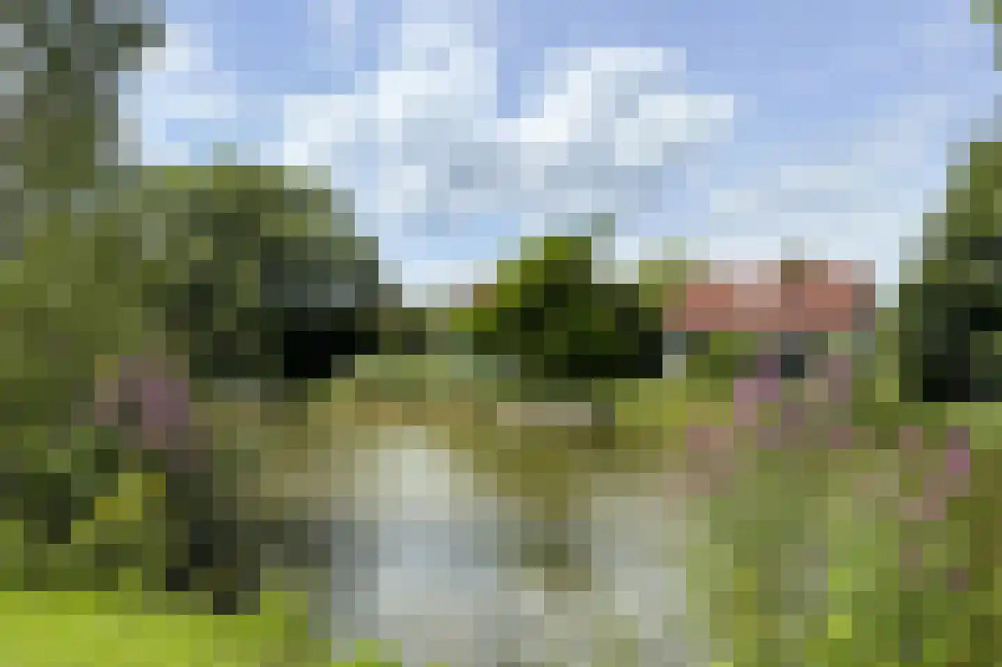 Sandurdreef 5 355 Emmen thumbnail 4