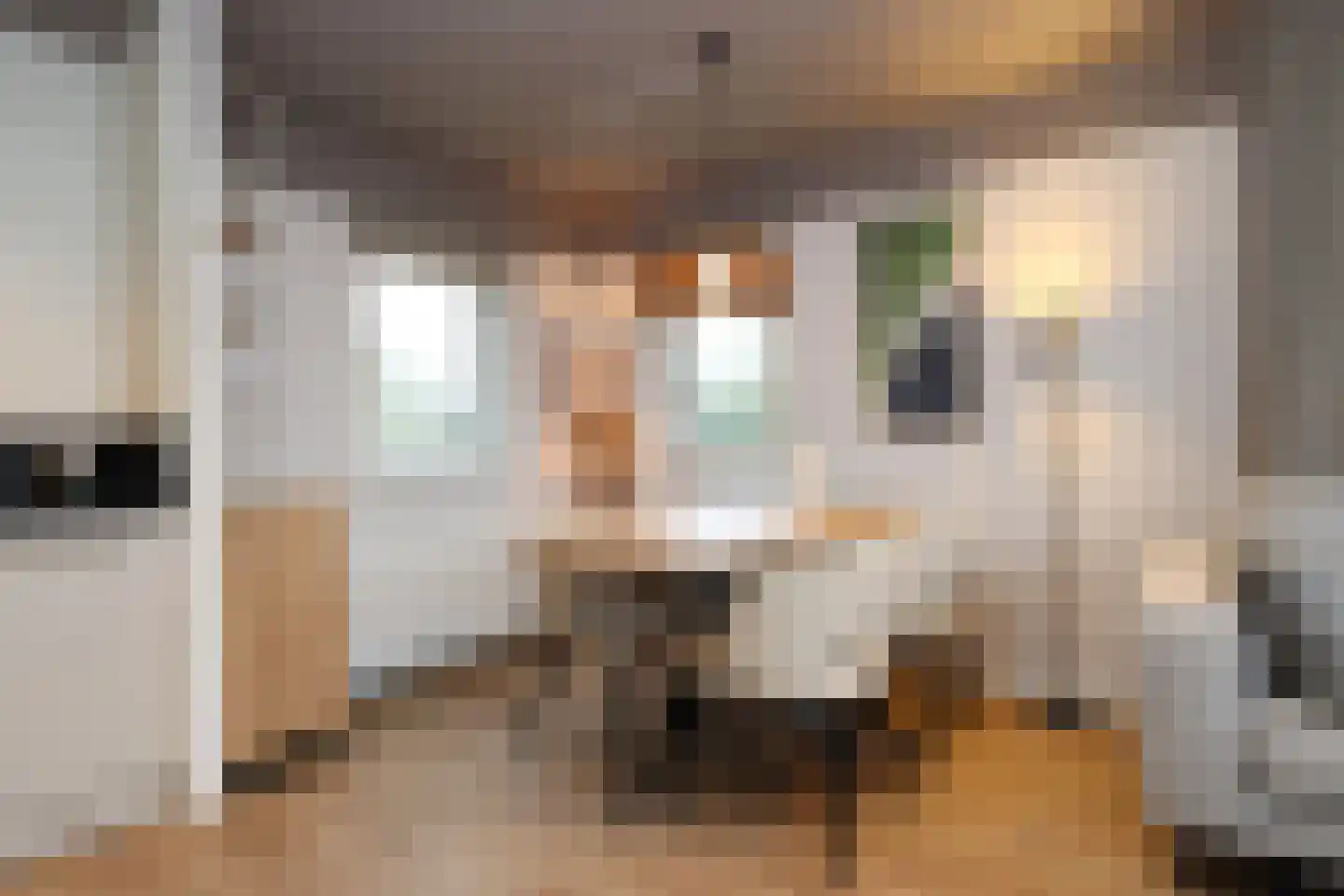 Sandurdreef 5 355 Emmen thumbnail 9