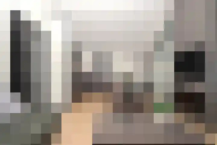 Sandurdreef 5 398 Emmen thumbnail 9