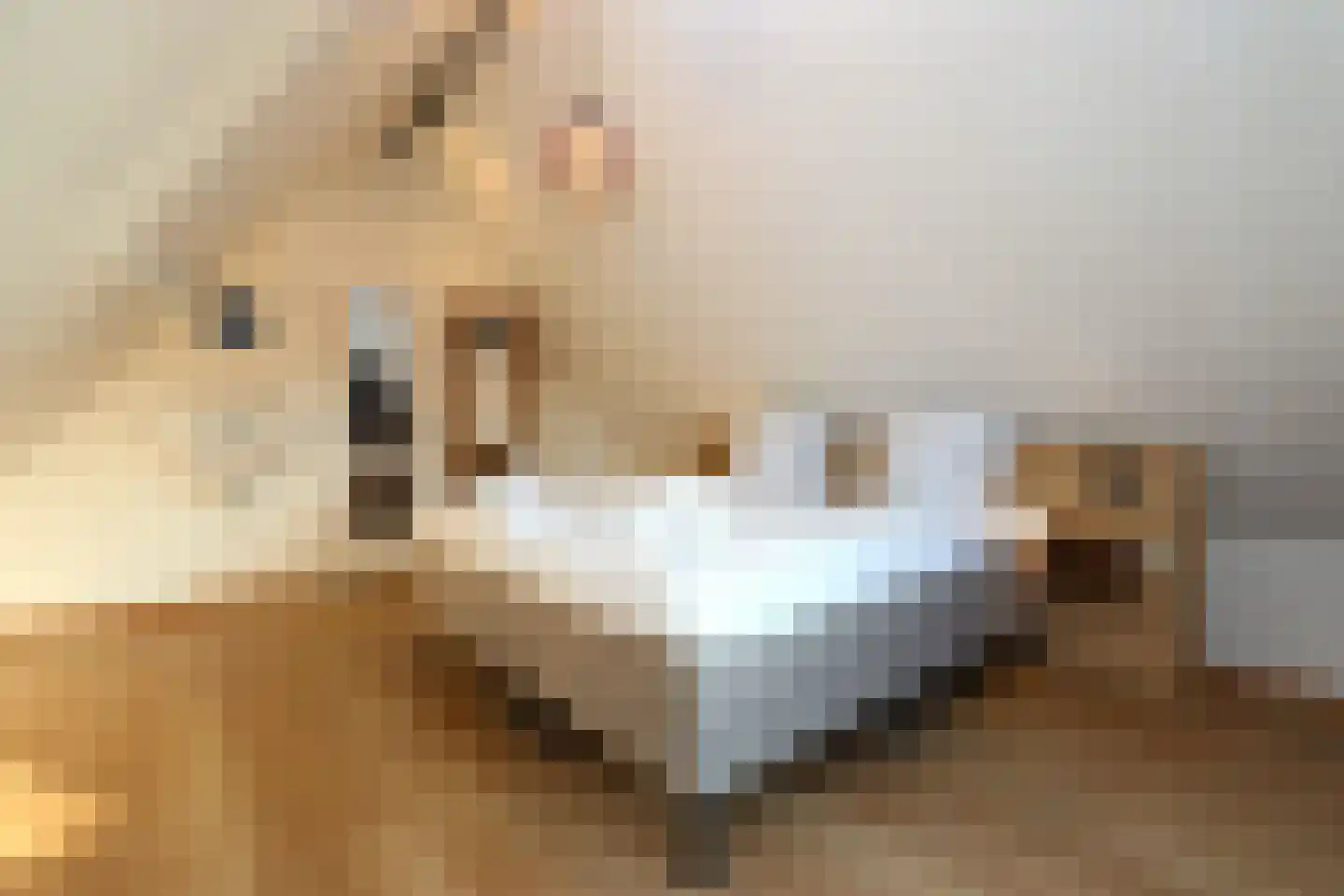 Sandurdreef 5 412 Emmen thumbnail 18