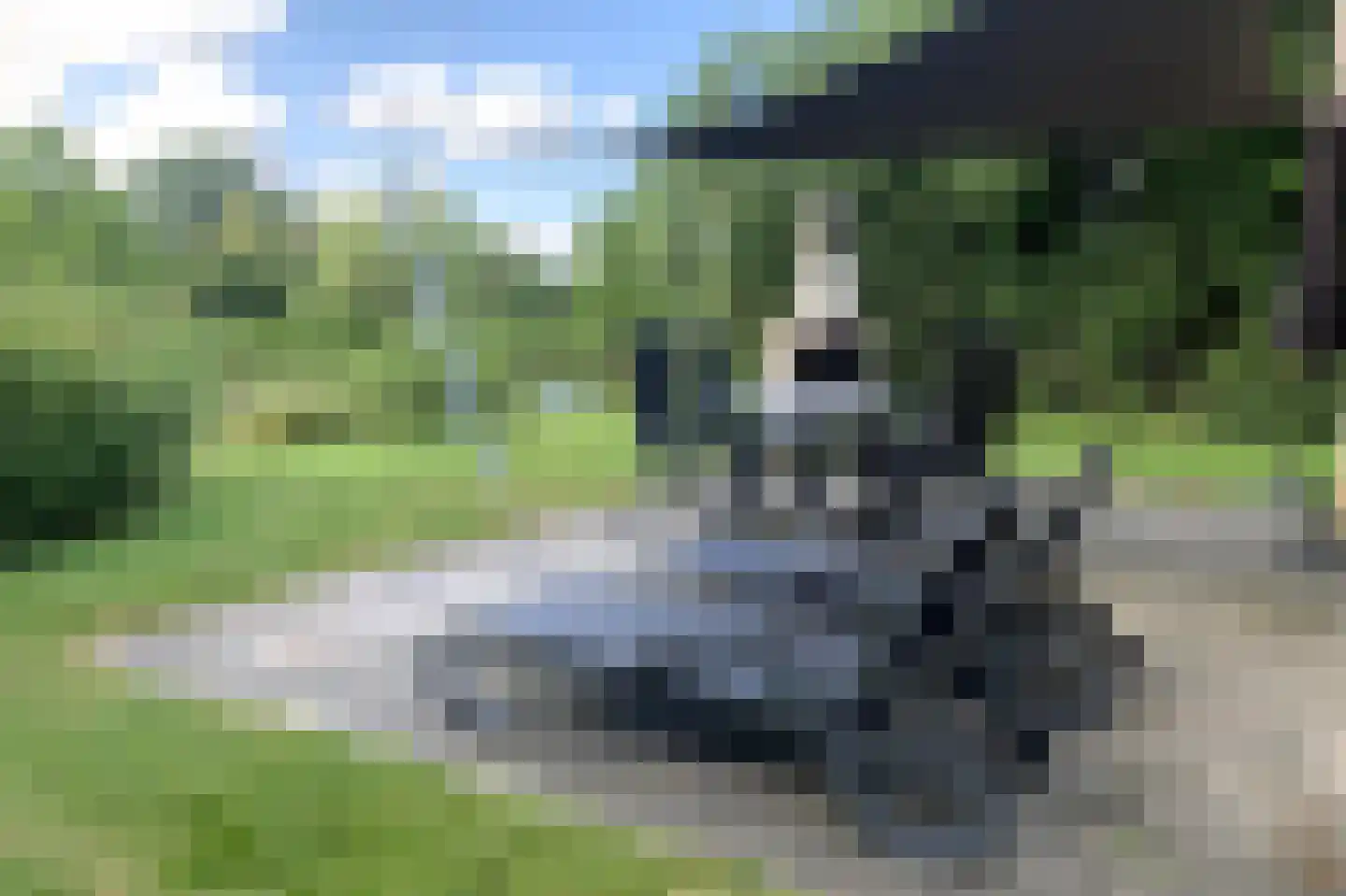 Sandurdreef 5 412 Emmen thumbnail 6