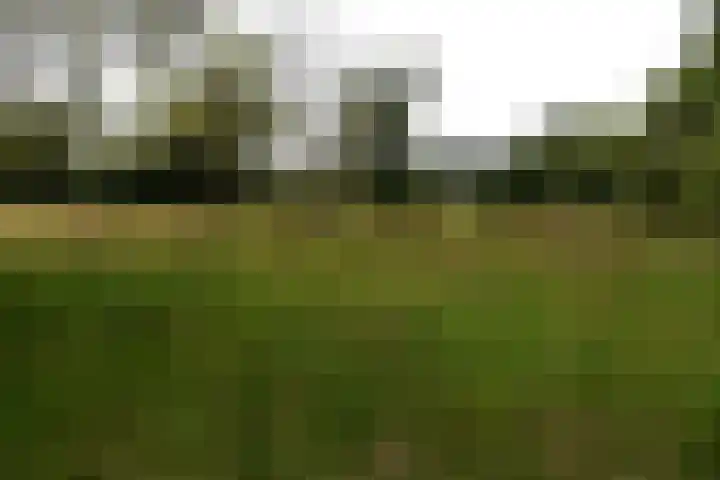 Sangeldijk 14 Holten thumbnail 109