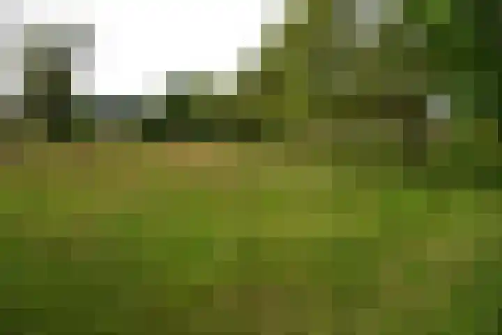 Sangeldijk 14 Holten thumbnail 110