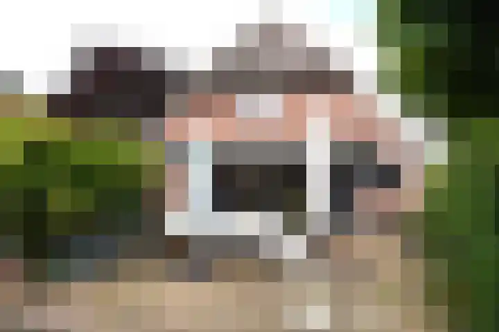 Sangeldijk 14 Holten thumbnail 40