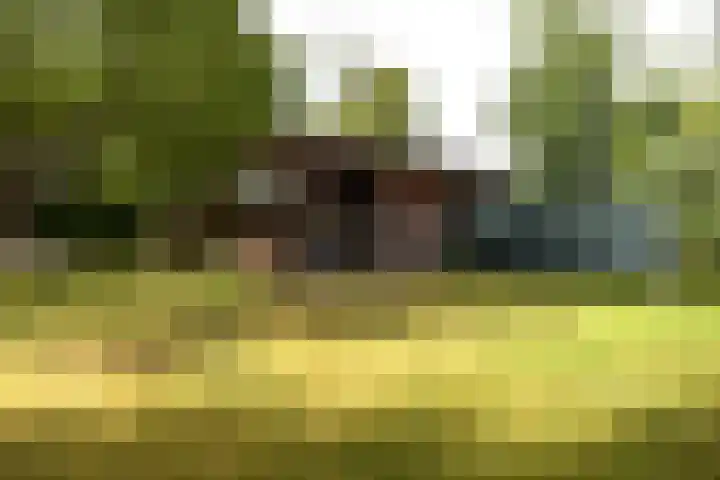 Sangeldijk 14 Holten thumbnail 53