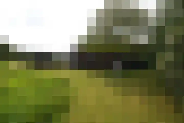 Sangeldijk 14 Holten thumbnail 61