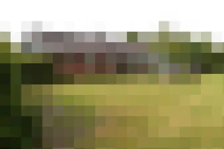 Sangeldijk 14 Holten thumbnail 97