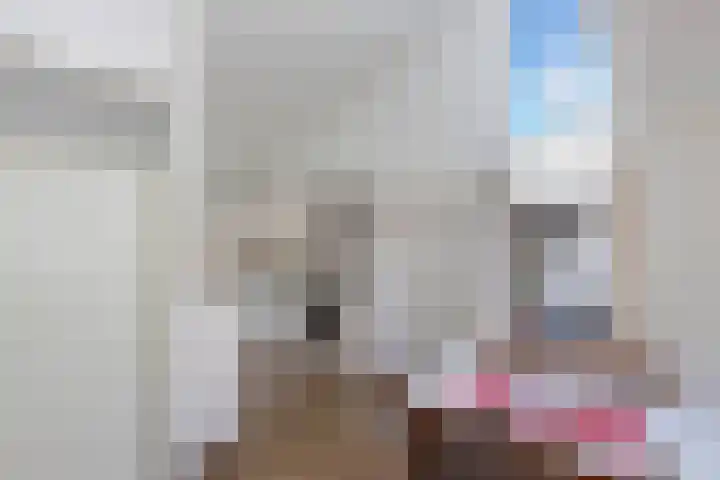 Sangerland 11 Steenwijk thumbnail 15