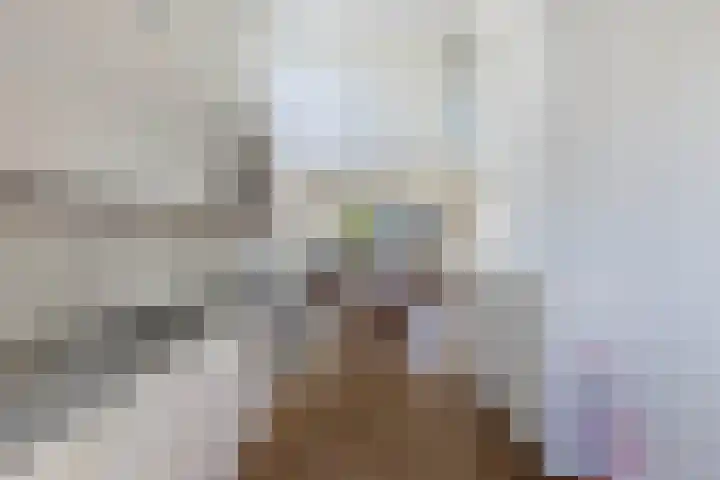 Sangerland 11 Steenwijk thumbnail 19
