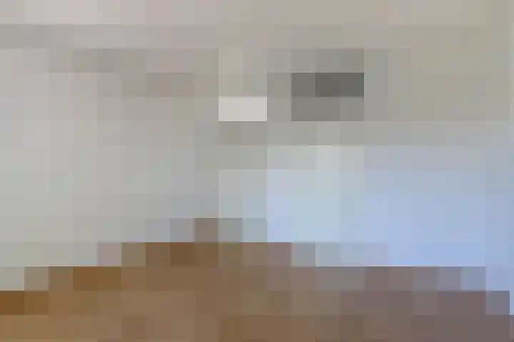 Sangerland 11 Steenwijk thumbnail 20