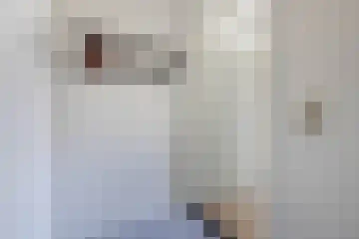 Sangerland 11 Steenwijk thumbnail 27