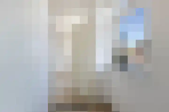Sangerland 11 Steenwijk thumbnail 28