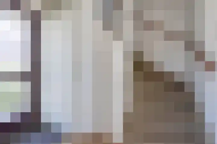 Sangerland 11 Steenwijk thumbnail 4