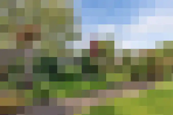 Sangerland 11 Steenwijk thumbnail 41