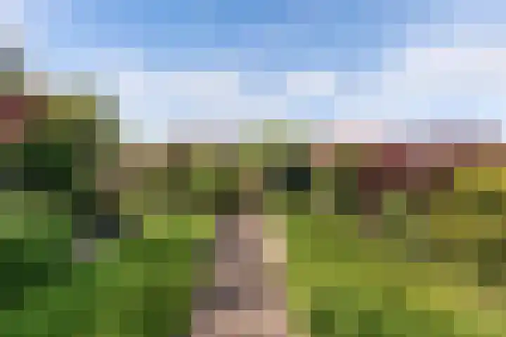 Sangerland 11 Steenwijk thumbnail 42