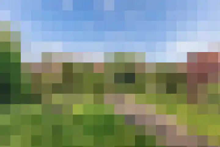Sangerland 11 Steenwijk thumbnail 43