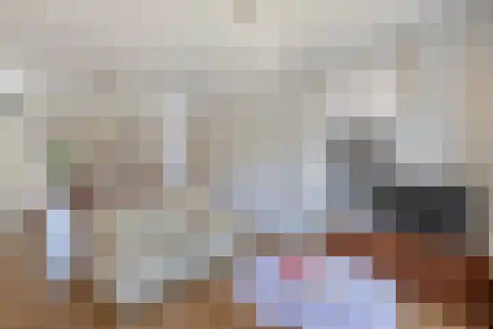 Sangerland 11 Steenwijk thumbnail 8