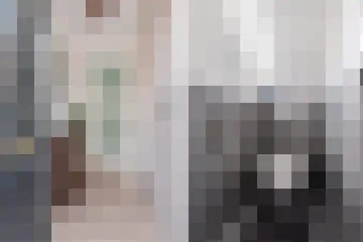 Sânpaed 33 Weidum thumbnail 12