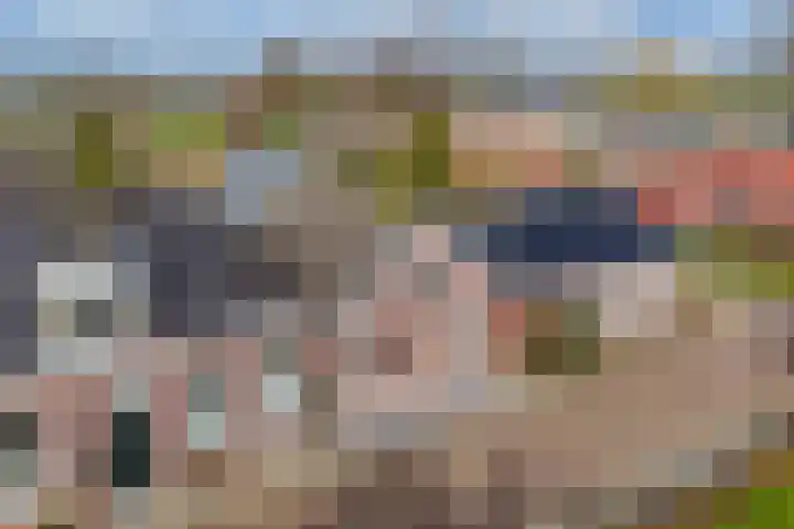 Sânpaed 33 Weidum thumbnail 16