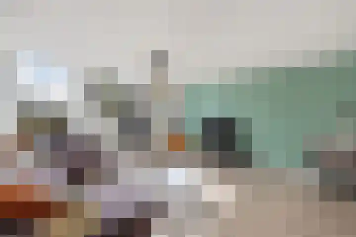 Sânpaed 33 Weidum thumbnail 17