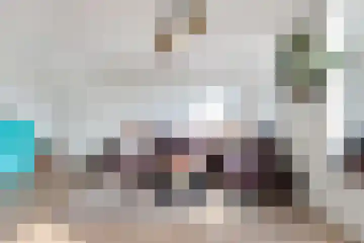 Sânpaed 33 Weidum thumbnail 20