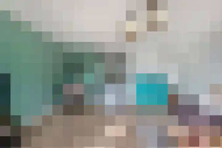 Sânpaed 33 Weidum thumbnail 21
