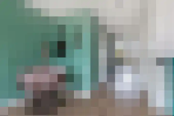 Sânpaed 33 Weidum thumbnail 22