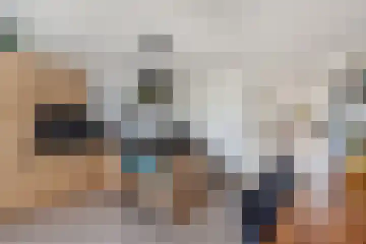Sânpaed 33 Weidum thumbnail 24