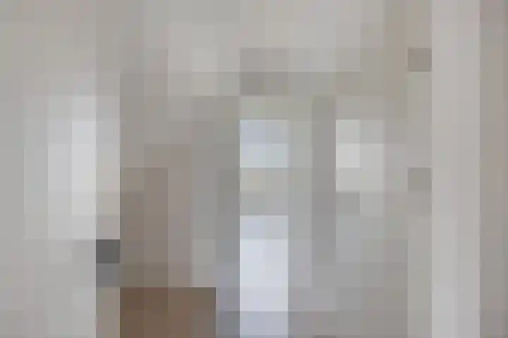 Sânpaed 33 Weidum thumbnail 30