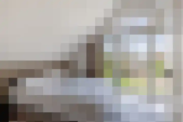 Sânpaed 33 Weidum thumbnail 31